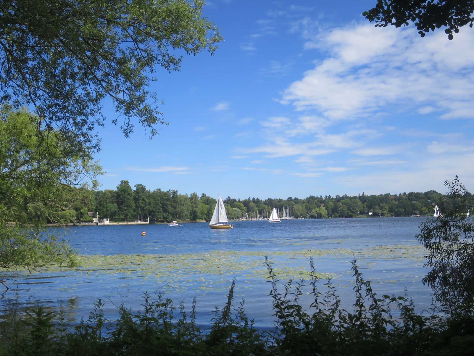 Grunewald 17